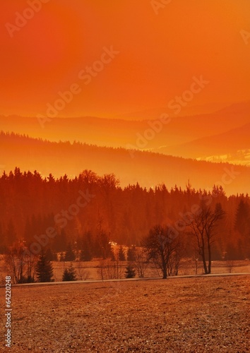 Orange landscape