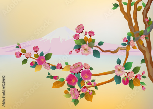 Banner sakura , spring , fuji mountain