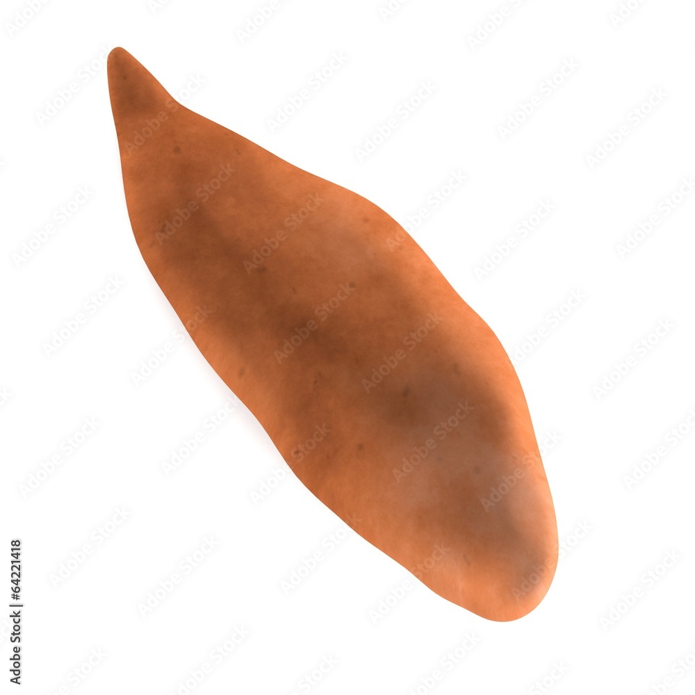 realistic 3d render of sweet potato realistic 3d render of sweet potato