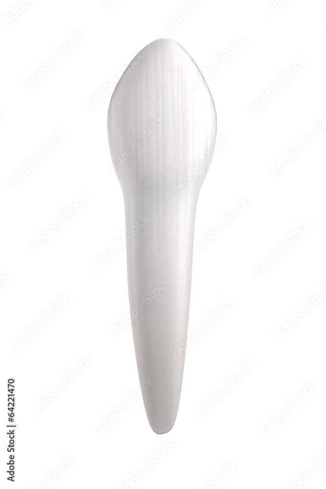 realistic 3d render of human tooth realistic 3d render of human tooth
