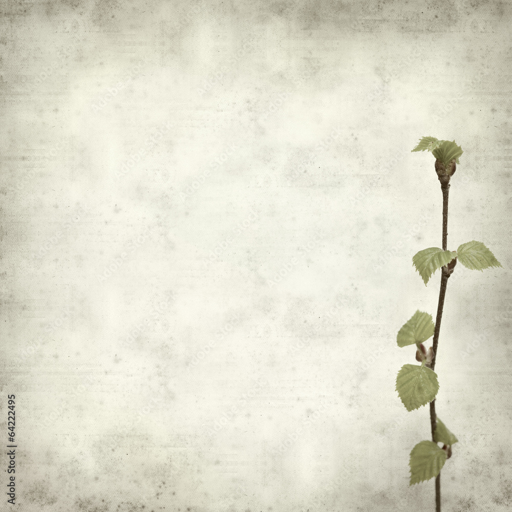 textured old paper background textured old paper background