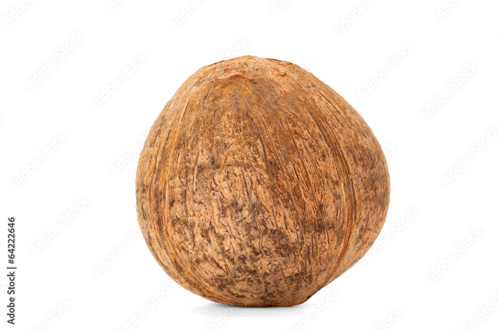 coconut coconut