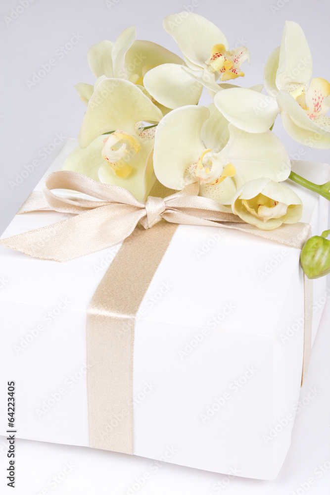 close up of gift box with ribbon and white orchid close up of gift box with ribbon and white orchid