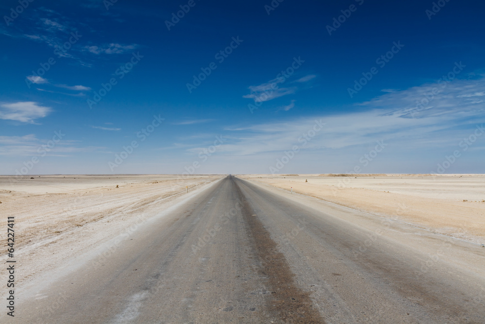 Salt road at the Skeleton Coast desert
