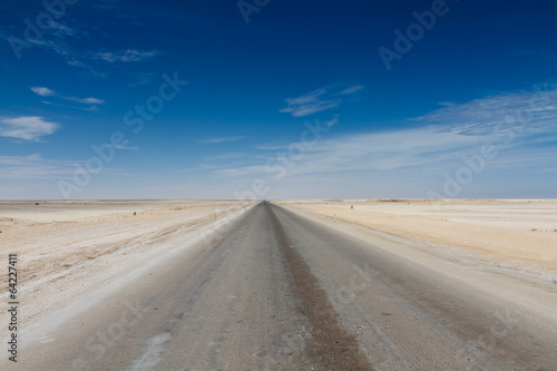 Salt road at the Skeleton Coast desert