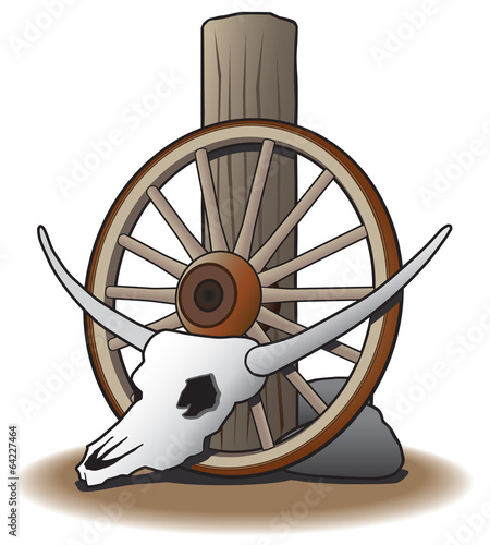 Steer Skull