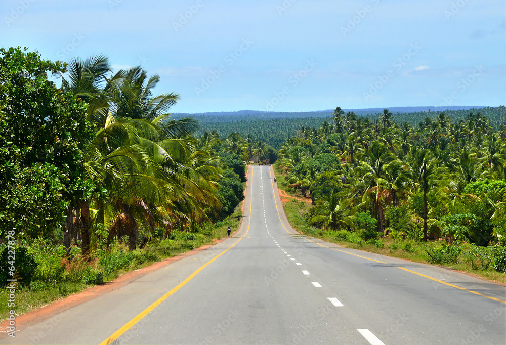 Obraz premium The road through the jungle. Africa, Mozambique.