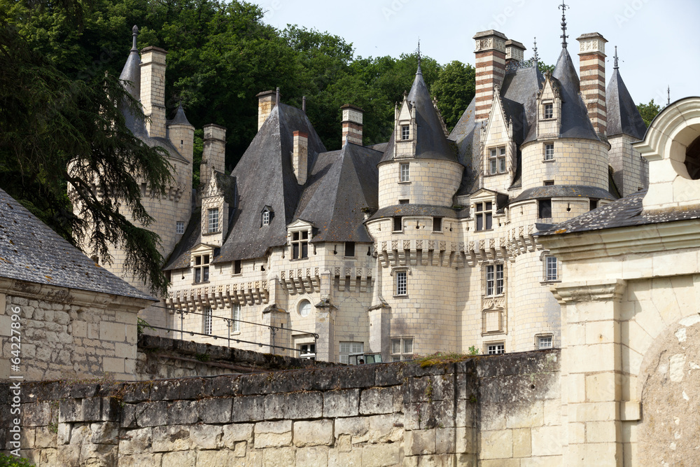 Castel of Rigny-Usse   Loire Valley, France