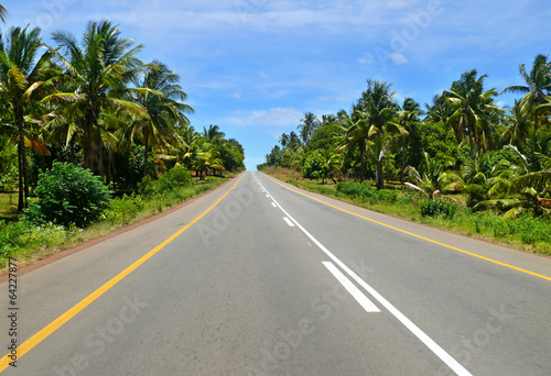 The road through the jungle. Africa, Mozambique. © svetlana485