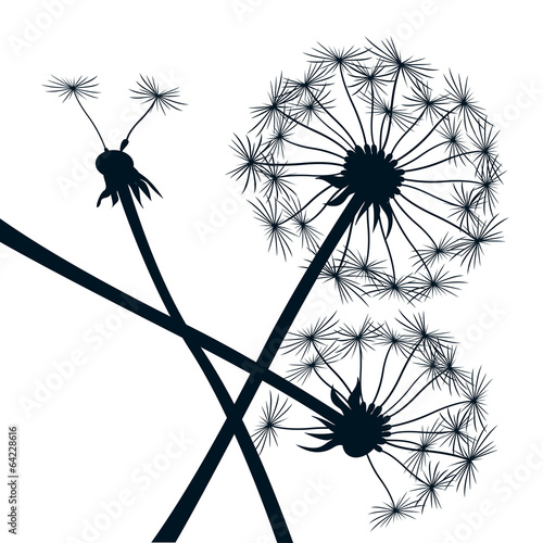 black vector dendalions