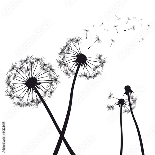 black vector dendalions