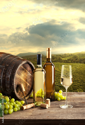 Wine tasting with vineyard background