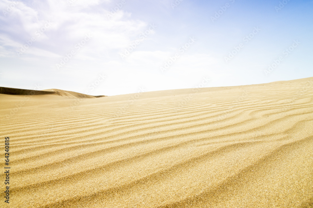 Fototapeta premium Sand dunes in sunny day.