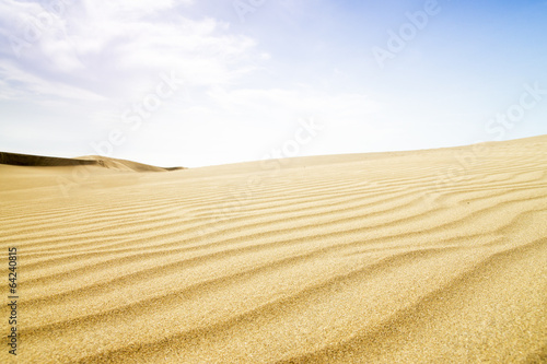 Sand dunes in sunny day.