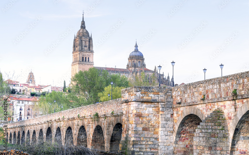 bridge leading to the Cathedral in Salamanca