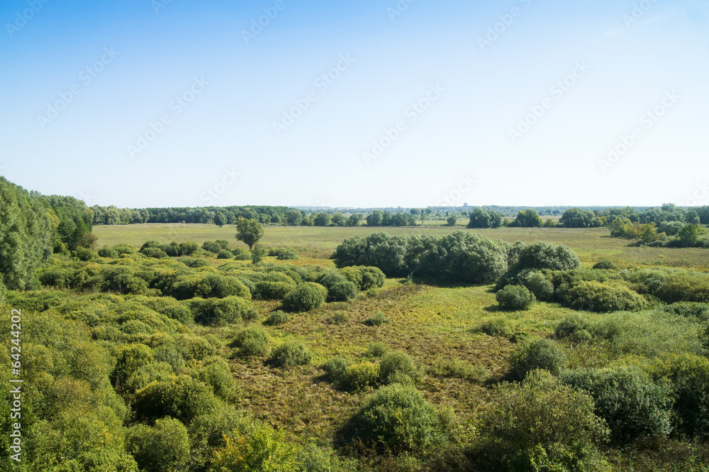 Green meadow surrounded by forests. Green meadow surrounded by forests.