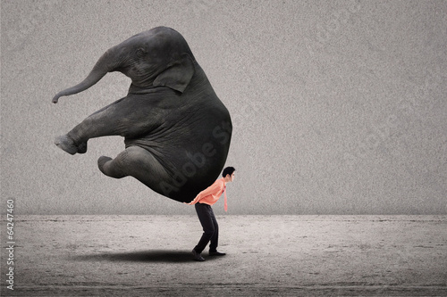 Business leader lifting elephant on grey photo