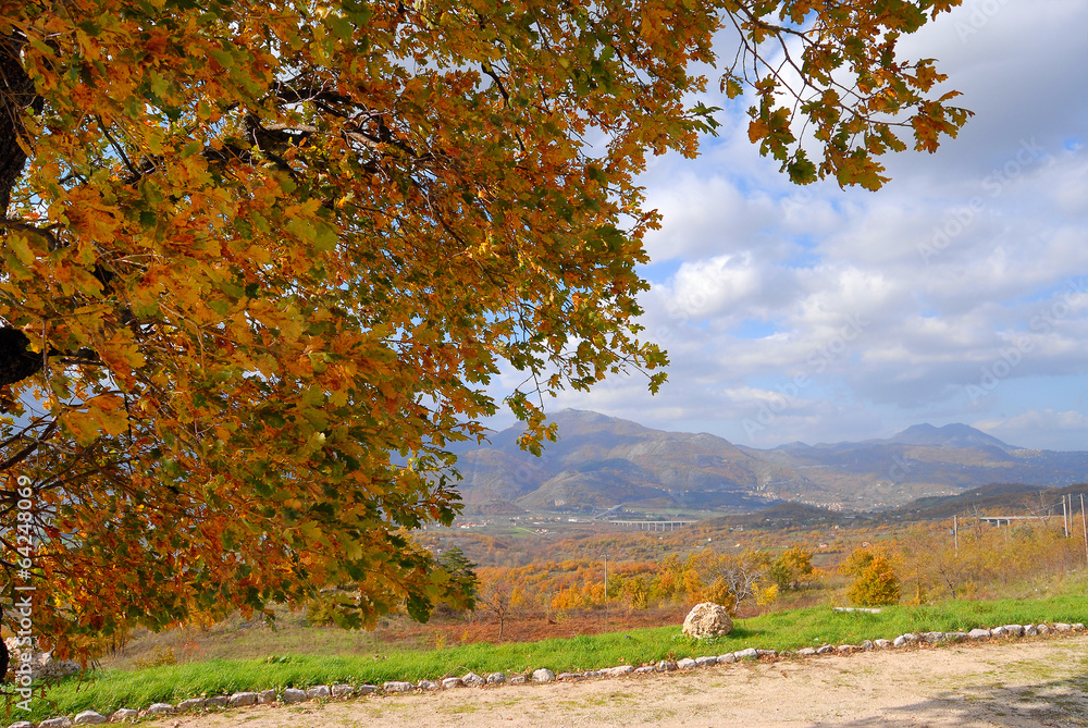Naklejka premium Autumn tree with blue sky and clouds