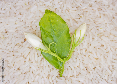 Jasmine Rice rice grian and jasmine flower on wood background photo