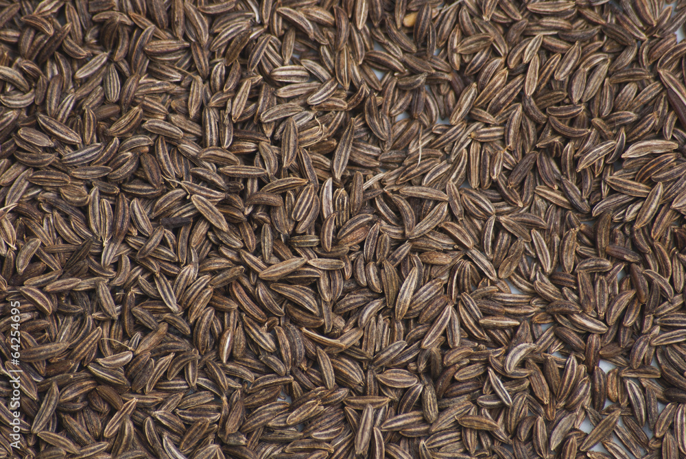 cumin cumin