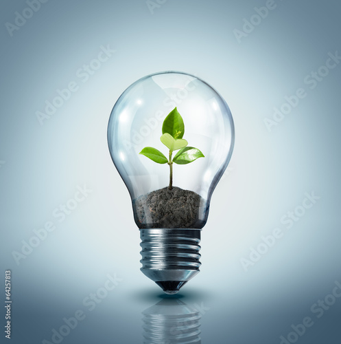 ecological idea - plant in lamp