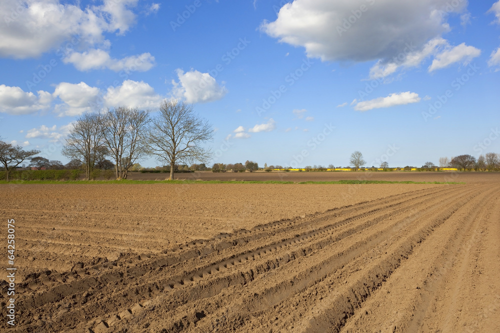 plowed soil in springtime