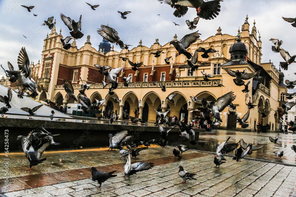 Fototapeta premium A lot of doves in Krakow old city.