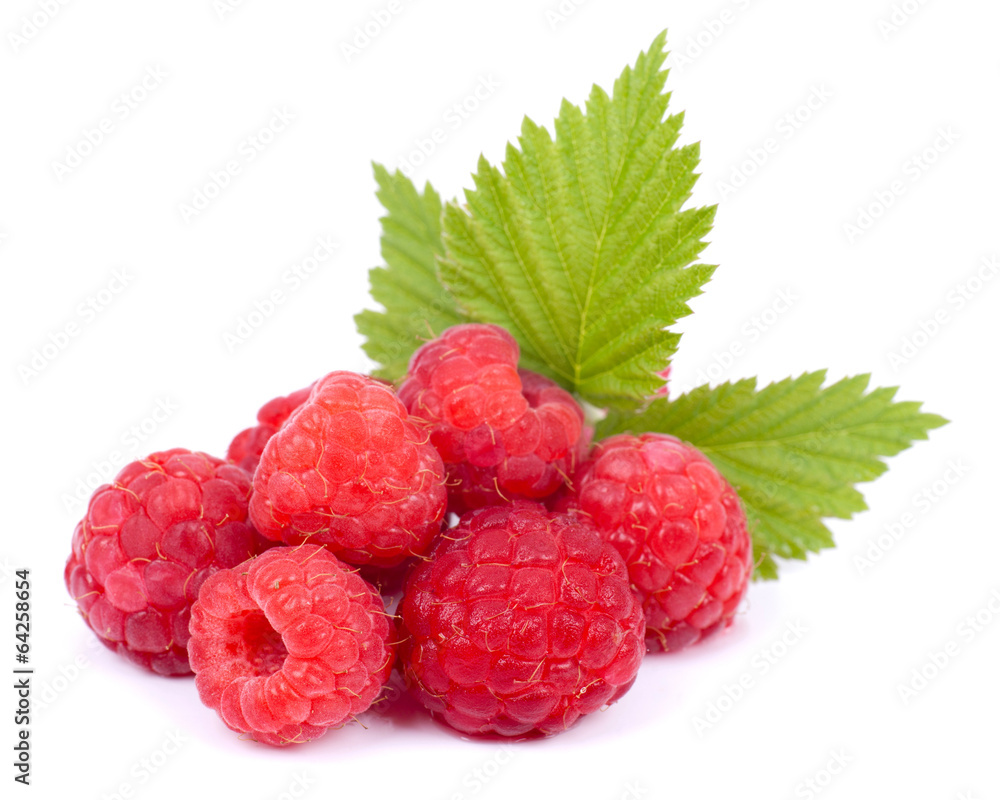 Himbeeren Himbeeren