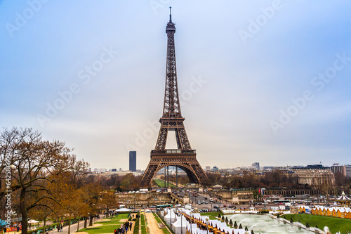 Eiffel Tower in Paris France © Sergii Figurnyi