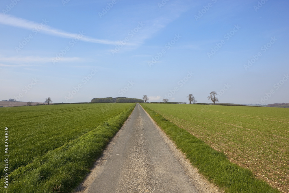 agricultural country road