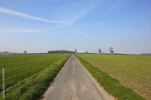 Obraz na płótnie agricultural country road w salonie