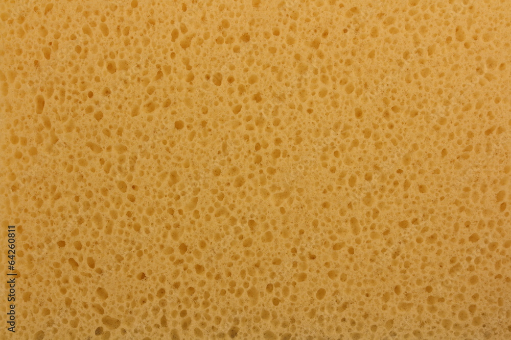 sponge background sponge background