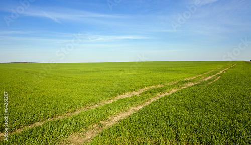  the rural not asphalted road which is passing across the field © rsooll