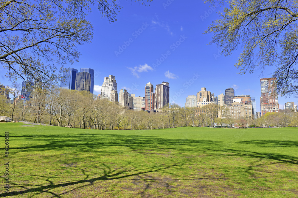 Manhattan skyline from Central Park, New York City