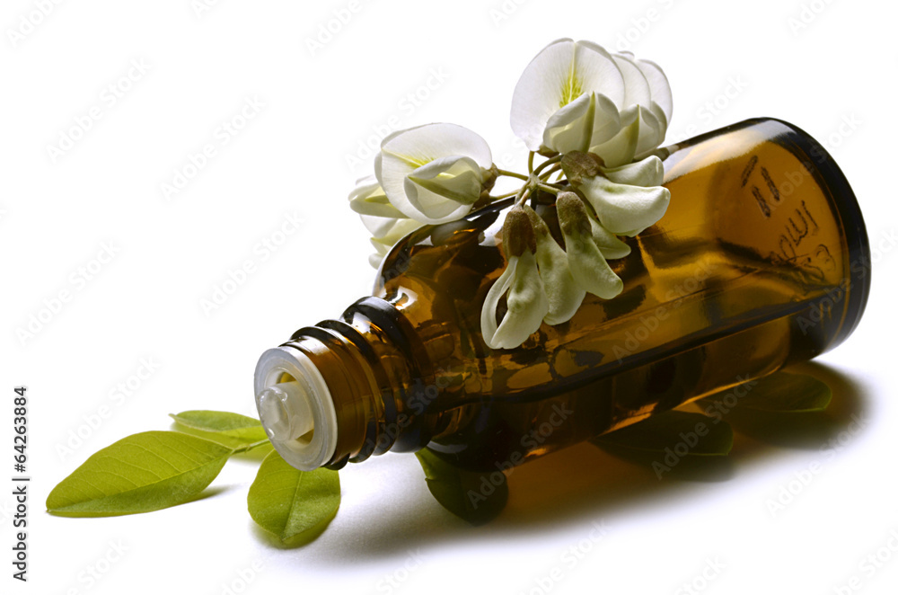 Acacia Akazien 아카시아속 アカシア Acácia Акация Stock Photo | Adobe Stock