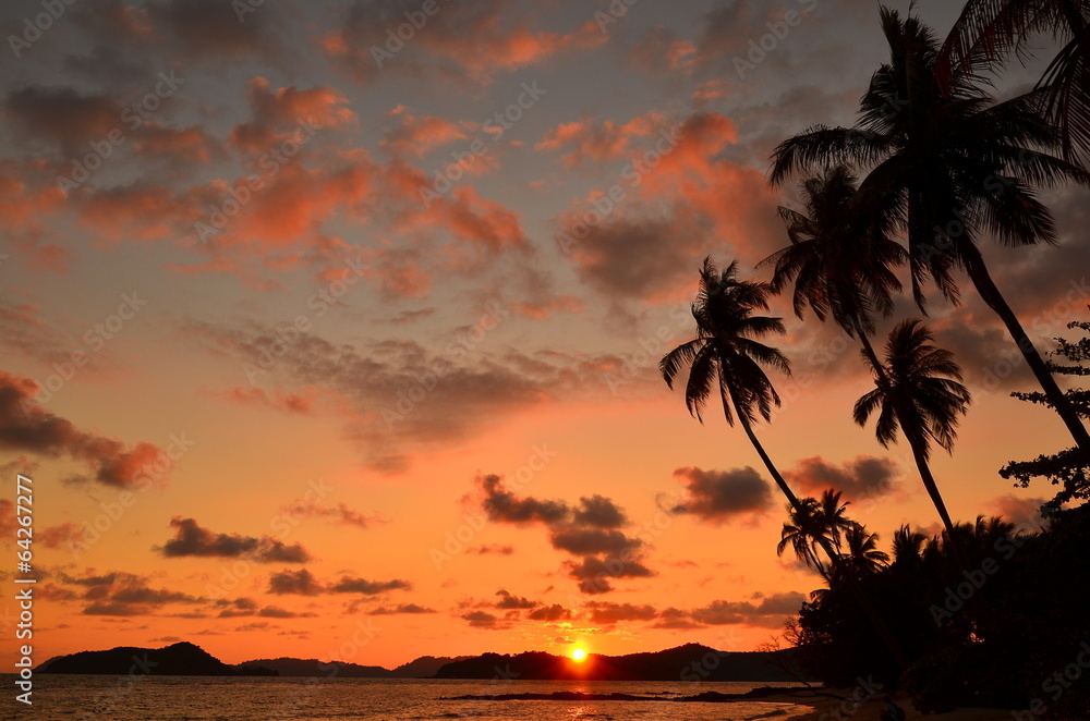 Sunset Beach and Palm Tree