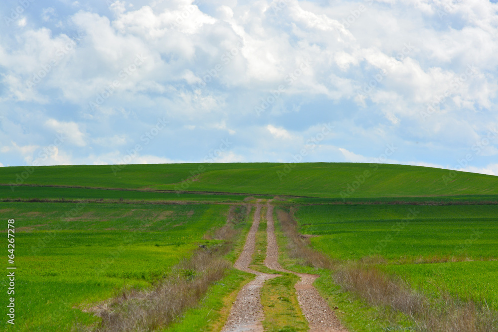 camino de tierra a traves de los prados verdes