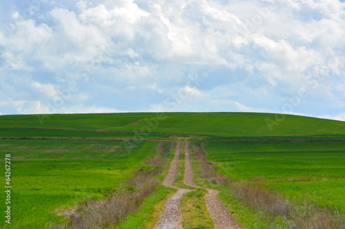 camino de tierra a traves de los prados verdes