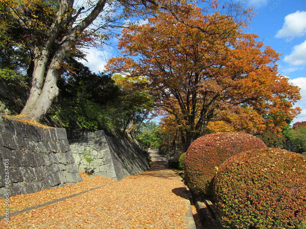 Obraz premium 紅葉の盛岡城跡