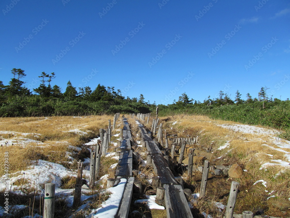 Fototapeta premium 黒谷地の木道