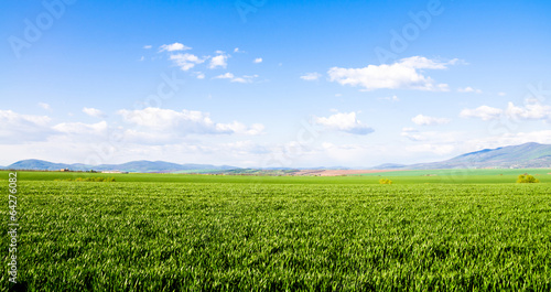 green field background