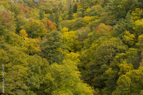 Fall Color Michigan Hills