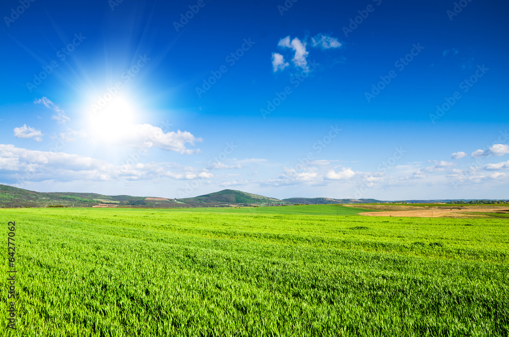 green field background green field background