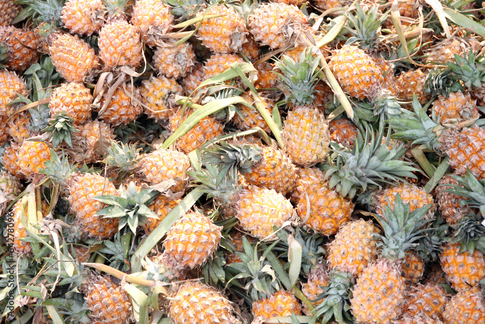 Fototapeta premium stack of many ripe pineapple in the fruit market.