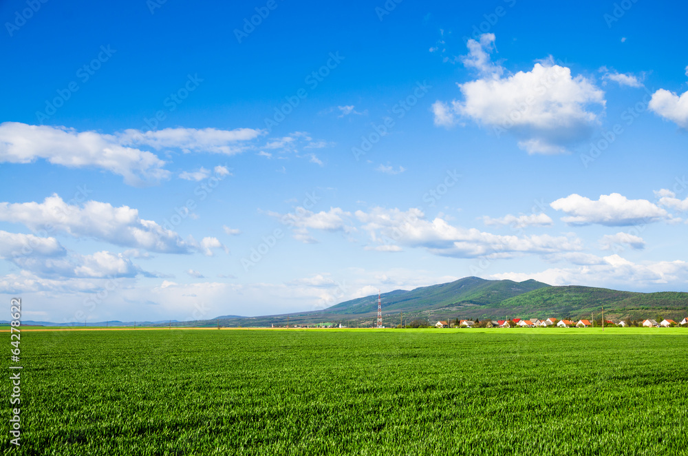 green field background