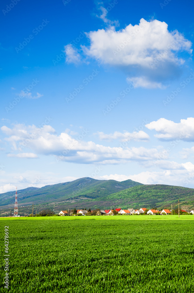 Fototapeta premium green field background