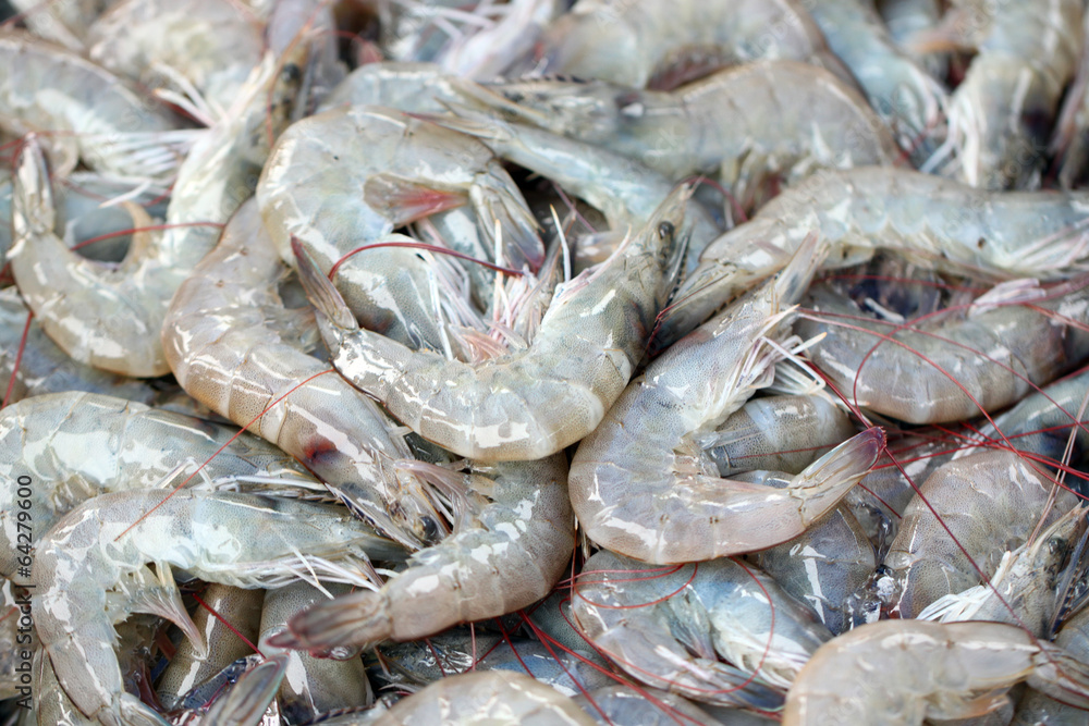 Fresh shrimps in seafood market.