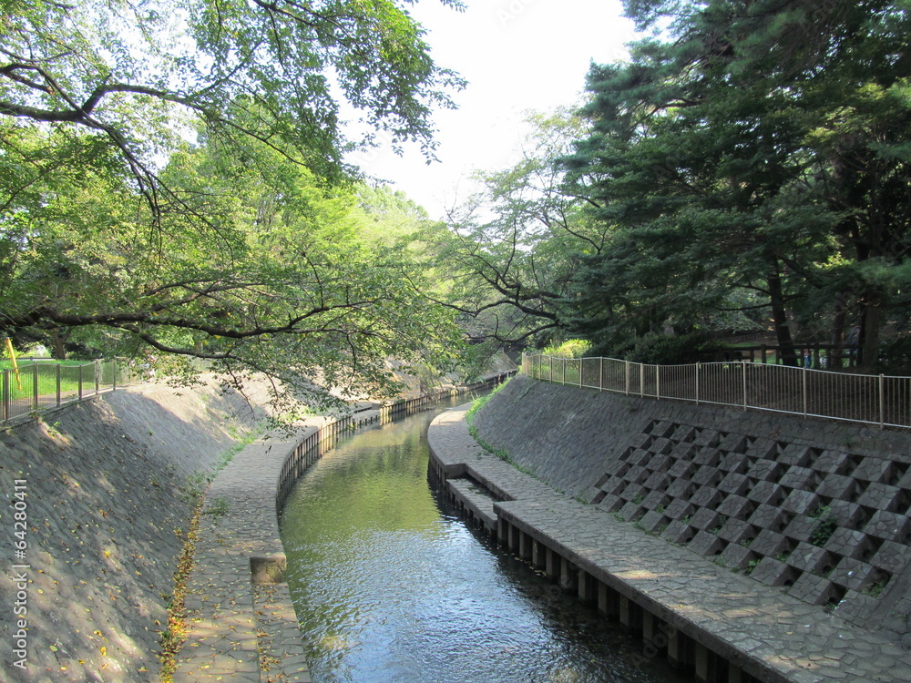 Fototapeta premium 東京の善福寺川