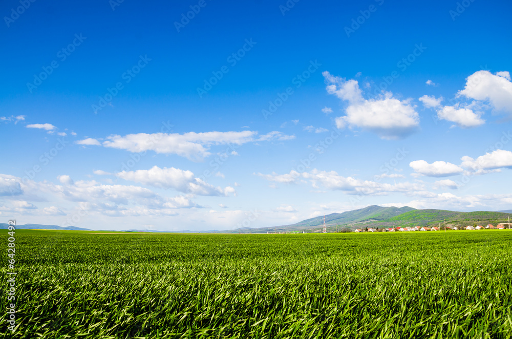 green field background green field background