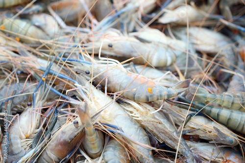 Fresh shrimps in seafood market.